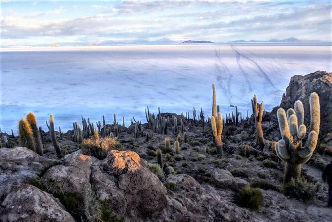 Uyuni Salt Flats (3 Days) English Speaking Guide - Day Three: Volcanic Wonders and Geothermal Activity
