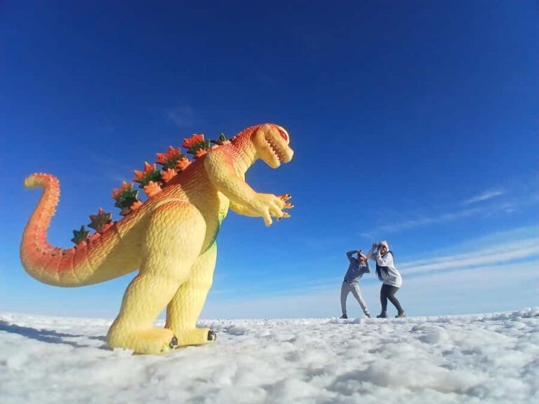 Uyuni: Salt Flats Half-Day Tour with Sunset - Why This Tour Is a Great Choice