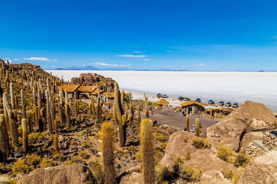 Uyuni: Uyuni Salt Flats Day Trip with Lunch & Local Guide - Transport, Group Size, and Practical Details