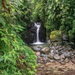 V.I.P Green escape 1- Botanical Garden - Practical Tips for Enjoying the Tour