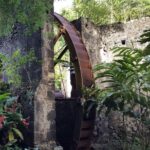 V.I.P Green escape 2-Zoo de Martinique - Authenticity and Value