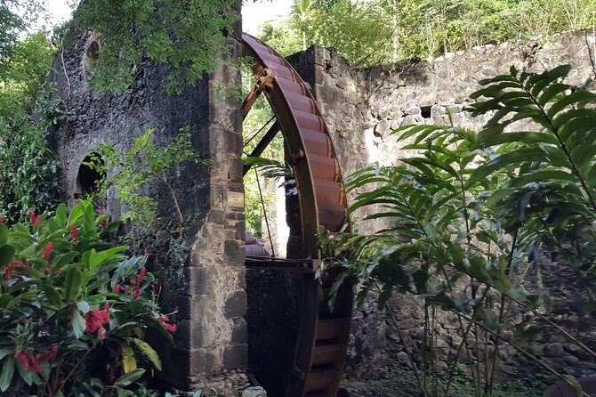 V.I.P Green escape 2-Zoo de Martinique - Authenticity and Value