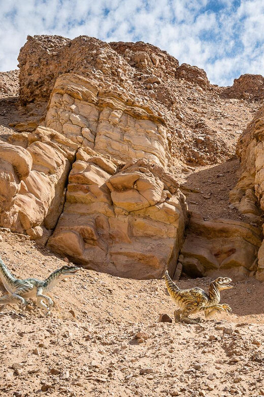 "Valle De Majes, A Story of Petroglyphs and Dinosaur Tracks" - Authentic Insights from Travelers