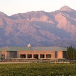 Valle de Uco: Private Full Day Wine Tour with 3-Course Lunch - A Deep Dive Into the Valle de Uco Full-Day Tour