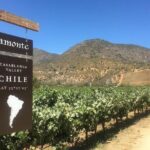 Valley of Casablanca - Final Thoughts: Is This Tour Right for You?