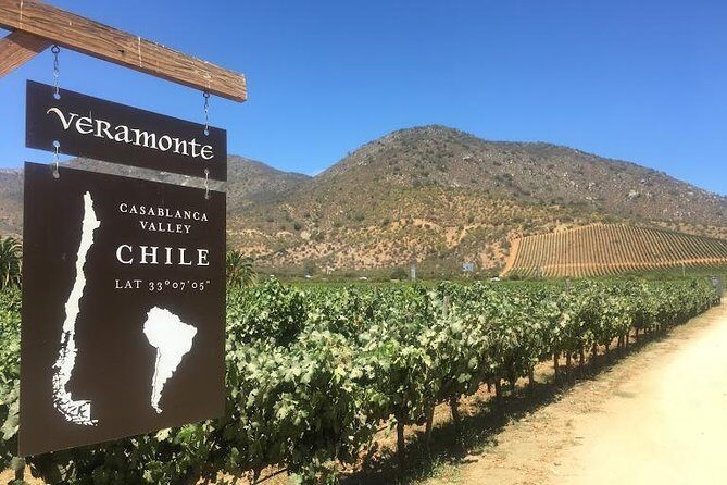 Valley of Casablanca - Final Thoughts: Is This Tour Right for You?