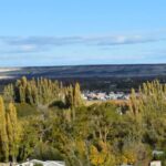 Valley + Paleontological Museum for cruise passengers - Exploring the Patagonia Heritage: A Detailed Look at the Tour