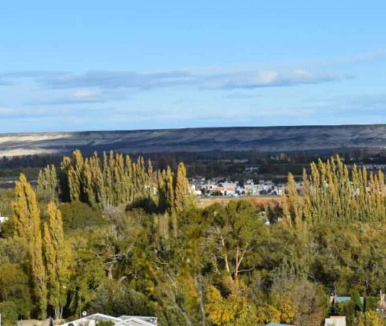 Valley + Paleontological Museum for cruise passengers - Exploring the Patagonia Heritage: A Detailed Look at the Tour
