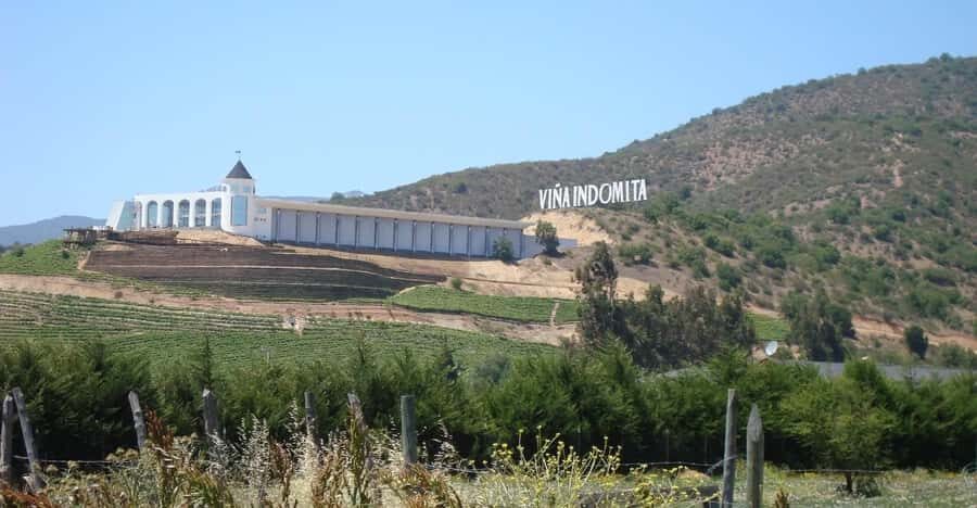 Valparaiso: Casablanca Valley Wine Tour with 5 Wineries - An In-Depth Look at the Casablanca Valley Wine Tour