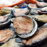 Valparaiso Port and Viña del Mar, Wine tasting in Casablanca - A Detailed Look at the Tour Experience