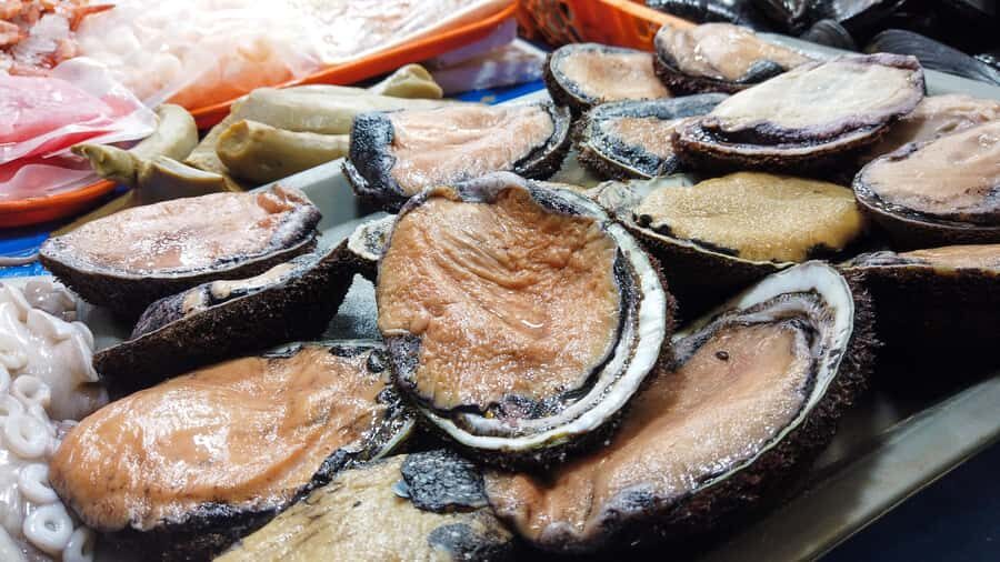 Valparaiso Port and Viña del Mar, Wine tasting in Casablanca - A Detailed Look at the Tour Experience