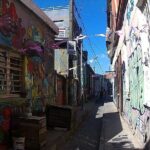 Valparaiso & Viña Del Mar, Museum & Lunch FROM STGO. Private Tour - FAQ