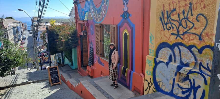 Valparaíso Viña del Mar y Reñaca - An In-Depth Look at the Tour Experience