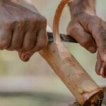 Vanilla, Cacao & Spice Tour in Manuel Antonio - An In-Depth Look at the Vanilla, Cacao & Spice Tour