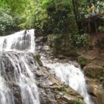 Veragua Rainforest Eco-Adventure + Aerial Tram + Tortuguero Canal - Deep Dive into the Itinerary: What It Means for You