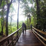 Veragua Rainforest Experience and Tram Ride in Puerto Limon - Practical Details and Considerations