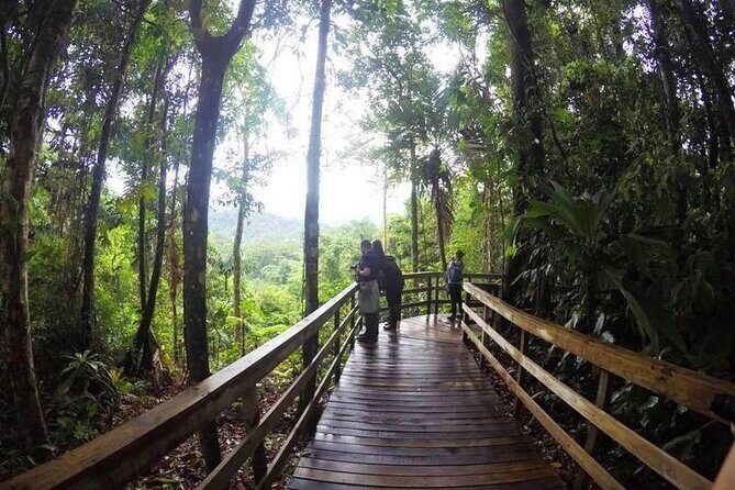 Veragua Rainforest Walk, Tram & Tortuguero Boat Tour. Limon Shore Excursion - Why This Tour Offers Good Value