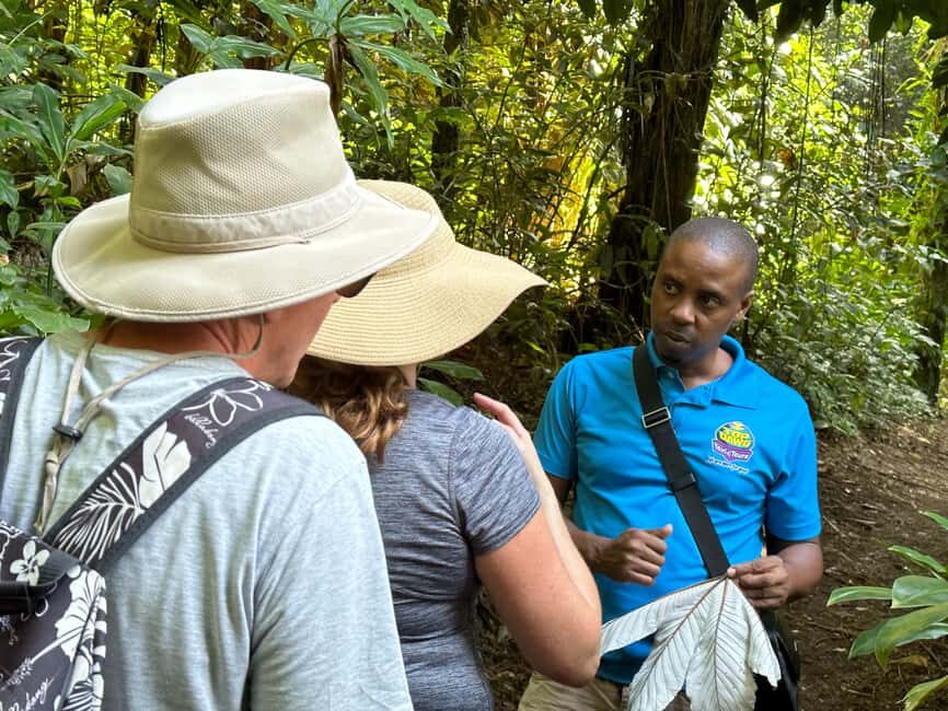 Vermont Nature Trail and Bird Watching Tour - Who Will Love This Tour?