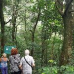 Vermont Nature Trail Hike - In-Depth Review of the Vermont Nature Trail Hike