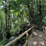 Vermont Nature Trail with Topdawg Taxi and Tours - Final Thoughts