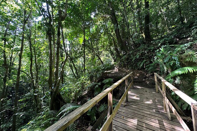 Vermont Nature Trail with Topdawg Taxi and Tours - Final Thoughts