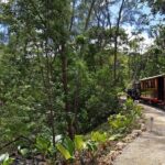 Victorian Steam Railway to Cherry Tree Hill + Great House Tour - Final Thoughts
