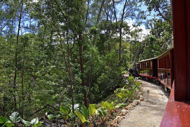 Victorian Steam Railway to Cherry Tree Hill + Great House Tour - Final Thoughts