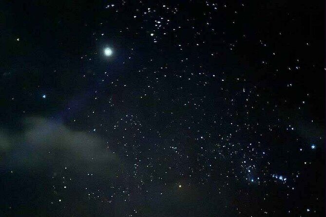 Vieques island Biobay Kayaking Tour - The Sum Up: Who Is This Tour For?