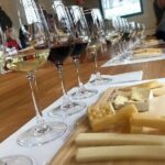 Viña Concha y Toro Premium Tour (half day) - A Deep Dive into the Concha y Toro Premium Tour