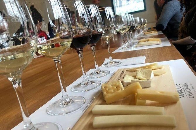 Viña Concha y Toro Premium Tour (half day) - A Deep Dive into the Concha y Toro Premium Tour