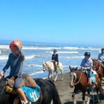 Viña del Mar and Valparaiso Private Tour Including Horseriding - FAQs
