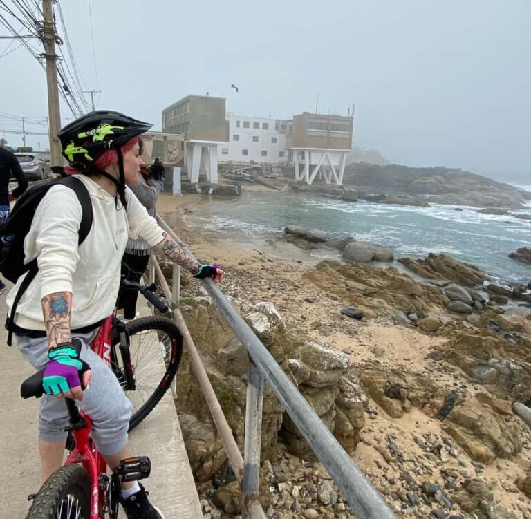 Viña del Mar: Coastal Bike Tour - Authentic Experiences and Real Traveler Insights