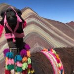 Vinicunca Rainbow Mountain Tour Including Breakfast & Lunch from Cusco - A Thorough Look at the Rainbow Mountain Tour