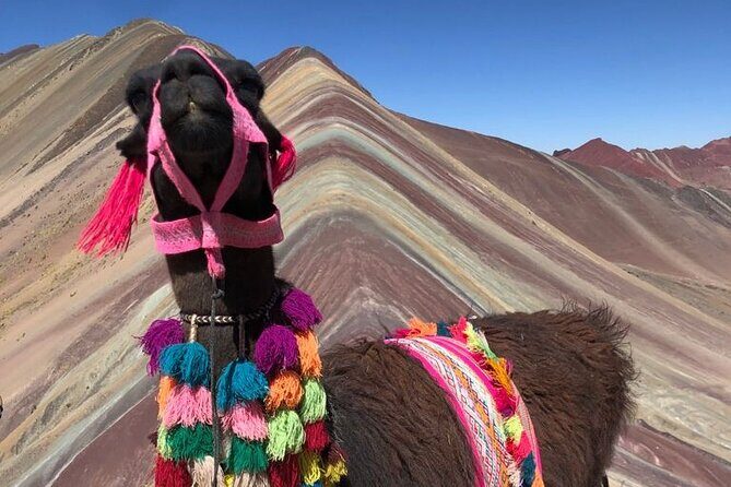 Vinicunca Rainbow Mountain Tour Including Breakfast & Lunch from Cusco - A Thorough Look at the Rainbow Mountain Tour