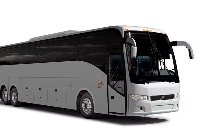 VIP and Luxury Transfert from Punta CanaAirport - Who Will Benefit Most?