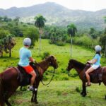 VIP DayPass | ATV's, Zip Lines, Horse Riding| Hotel & Cruise - Exploring the Adventure Park: What You Can Expect