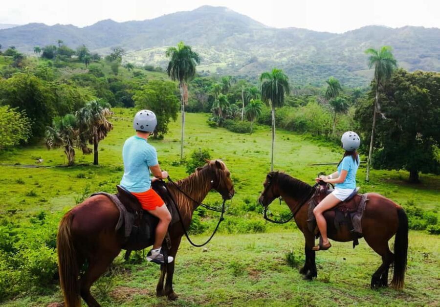 VIP DayPass | ATV's, Zip Lines, Horse Riding| Hotel & Cruise - Exploring the Adventure Park: What You Can Expect