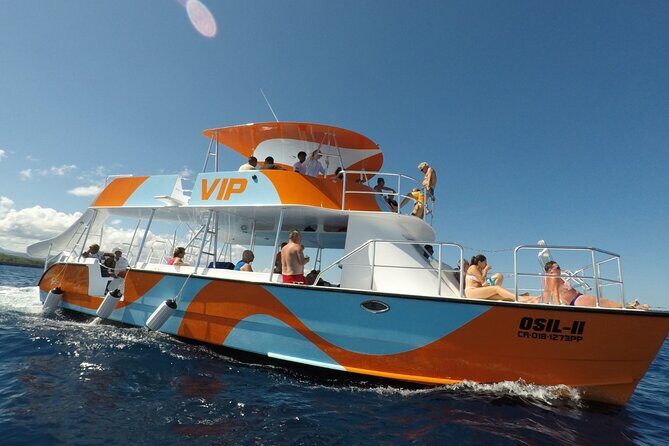 VIP Fascinating Boat Ride & Snorkeling at Sosua Bay - Who Should Book This Tour?