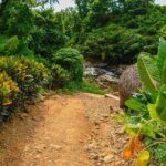 Vip La Hacienda Park Tour - A Detailed Look at What to Expect from La Hacienda Park Tour