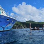 VIP Private Guided Scuba Diving/Snorkeling Excursion - A Closer Look at What to Expect