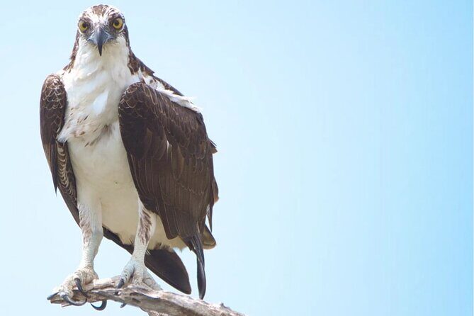 VIP Private North Island Tour