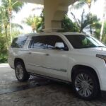 VIP Uvero Alto Private Transfer Suburban from Punta Cana - In-Depth Review: A Detailed Look at the VIP Uvero Alto Private Transfer