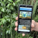 Visit Fort-DE-France with a fun and original track game! - Discover Fort-de-France Through a Fun and Engaging Track Game