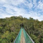 Visit Ixpanpajul: Jungle, Trekking, Hanging Bridges & Canopy - Tour from Flores - In-Depth Look at the Ixpanpajul Tour Experience