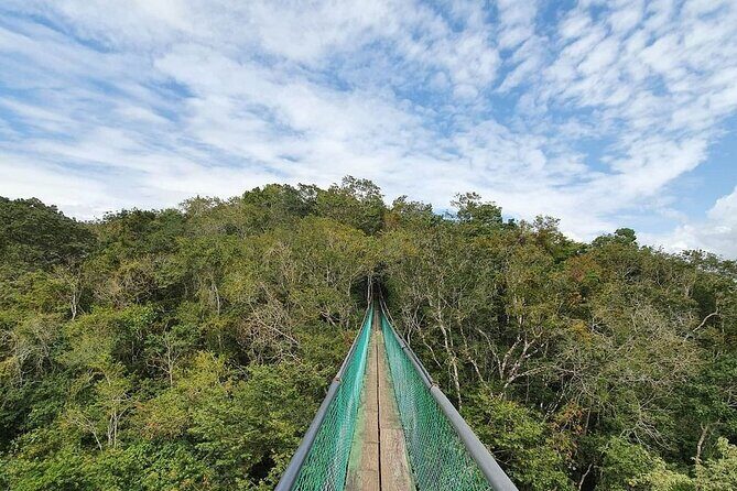 Visit Ixpanpajul: Jungle, Trekking, Hanging Bridges & Canopy - Tour from Flores - In-Depth Look at the Ixpanpajul Tour Experience