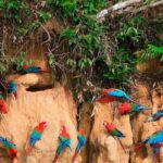 Visit Puerto Maldonado: Exploration by kayak | 4D3N | - The Value of This Amazon Adventure