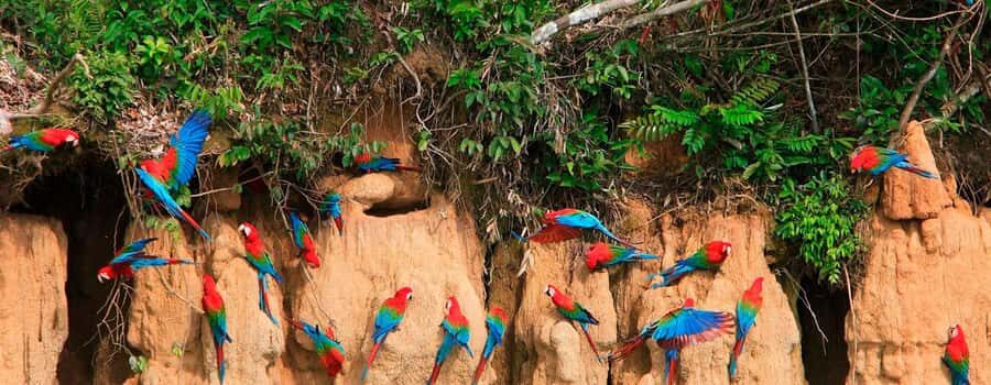 Visit Puerto Maldonado: Exploration by kayak | 4D3N | - The Value of This Amazon Adventure