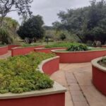 Visit Rios Botanical Garden: Nature, History, and Wildlife - A Closer Look at Rio’s Botanical Garden