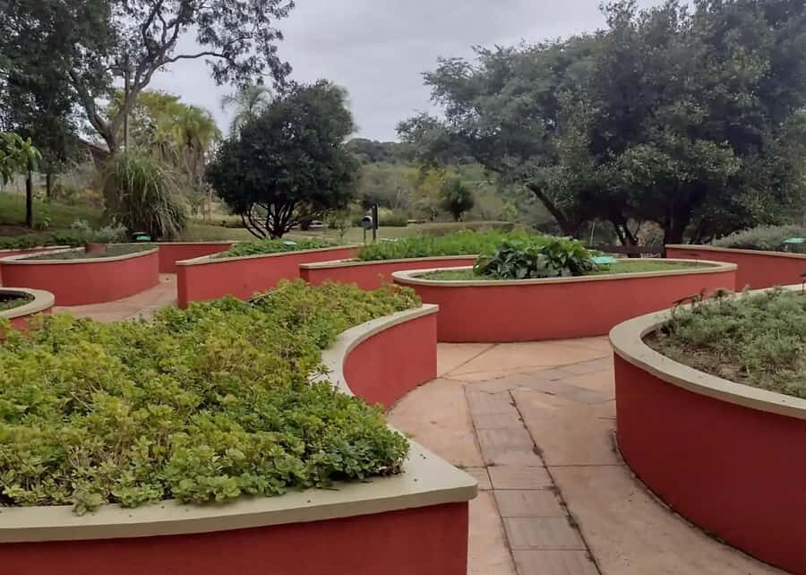 Visit Rios Botanical Garden: Nature, History, and Wildlife - A Closer Look at Rio’s Botanical Garden