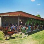 Visit & Tasting at Salentein + Lunch at La Azul - A Deep Dive into the Experience